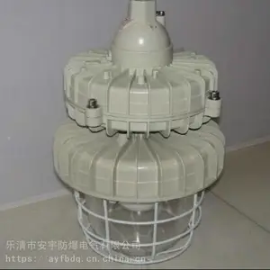 ***FAD-L-L100防水防尘防腐灯金卤灯100W吸顶式,护栏式