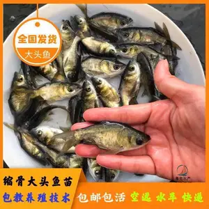 ��Ӧ������������ �ӽ��������� ���Ǵ�ͷ���� ��ӭ������ѯ