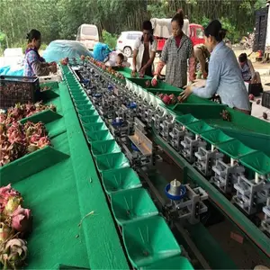 ��������ѡ�豸�ܹ�һ�����ÿ��ٷ�ѡ�����ˮ���������ˮ���ּ��豸