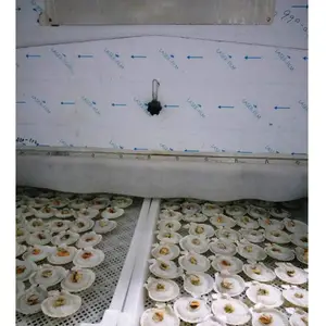 15米隧道式液氮速冻设备厂/海产品液氮冷冻设备