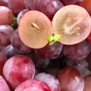 �� �����ھ�Ʒˮ���� ���г����������� ��ȫƷˮ����Ӧ�Ƶ�ʳ�õ�λ