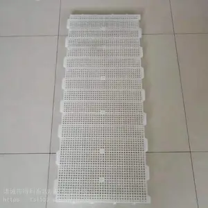 厂家供应雏禽小格漏粪地板鸡雏密网漏粪板小孔径漏粪板鹌鹑漏粪板