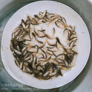�ʻ���ͷ���� ���ͷ����ͷ�㻨����������