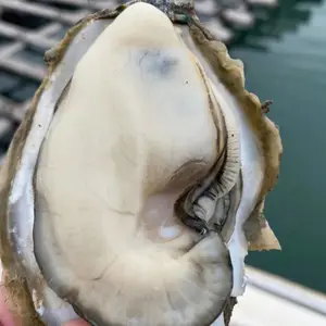 ��ˬ��� �տ�����ĵ�� �ʻ���� �����д���