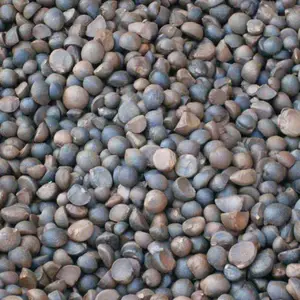 传统方法压榨茶油机器 广西茶油榨油设备 民旺牌土茶油榨油机