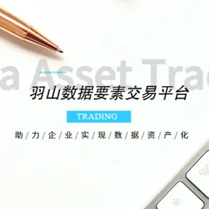 公司数据资产入表托管服务 欢迎咨询 上海羽山科技供应