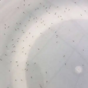 ��������ˮ�� �Ĵ���� ���� �޷� ���� ������ ���� �ƹǹ�����ϵ�