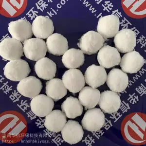 ɳ�׾�ϸ�� ����ά�� �ֹ�������� ����Ч����