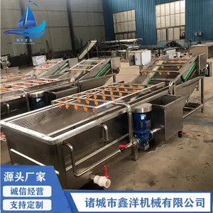 水果蔬菜气泡清洗机 全自动果蔬清洗机 喷淋式玉米秋葵气泡清洗机