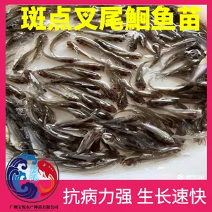 ���β�t���� ���ִ����β�t �Ӳ���ǿ�ɻ�***