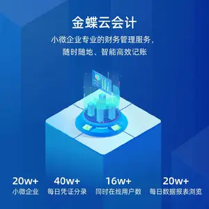 湖南益阳小微型企业财务在线做账精斗云,精斗云云会计