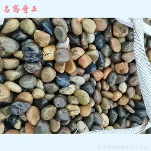 �麣����ʯ��԰����ɫ����ʯͼƬ���̵�Сʯͷ��ԭ����