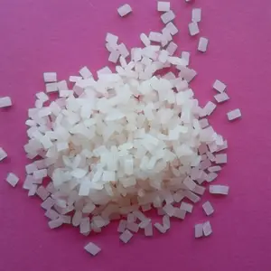 PE��������ĸ�� �ӹ����� ������ ͸���ȸ� �����Կ����κ�