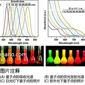 ��Ӧ ������CdTe/CdSe/ZnS�� 620nm-850nm 10mg