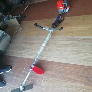 ��԰�������ʸ�ݻ� ֲ����е���ó��ݻ�