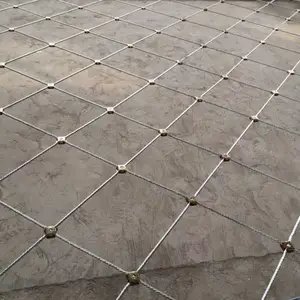 ����ڡ�·����������������Ǯ|ֲ����·�����������