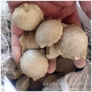������Ӧ�ƻ������� �ཬ����� ���ϰ�͹���� �����ð�͹����