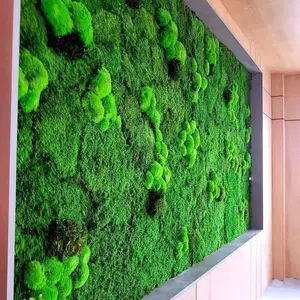 株洲苔藓造景施工制作森美景观