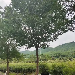 �̻���ľ���� 20�����������۸� ������������