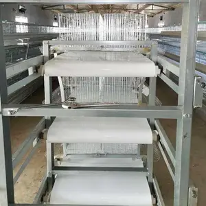 鸡舍清粪机 大型养殖场可用鸡粪处理设备 原产地发货履带清粪机