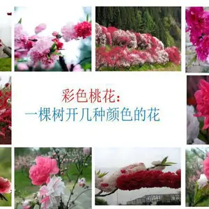 3Ԫ���������� 1�׸����� ������ ��ʪ�ʼ� ����