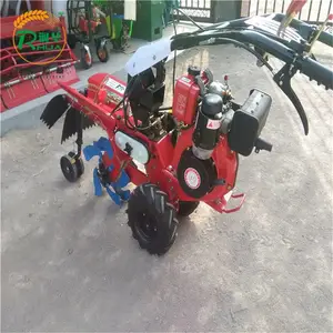 ũ�����ظ����� ��������ʽ������ ���׵�������