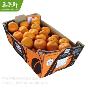 南非蜜柑新鲜进口水果供应商 配送电商连锁店批发货源渠道