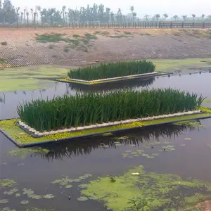 �����˹�����Ư��������̬�����ӵ��̻�ˮ��ֲ����ֲ����ʩ��