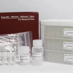 科学实用(动物)线粒体DNA小量提取试剂盒NJYZ001-22