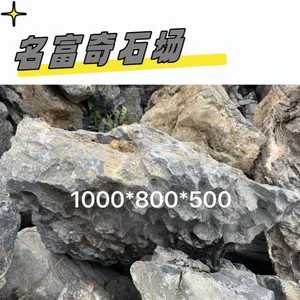 茂名英石货源地直发、英石庭院景观摆放、园林大型假山英石堆砌