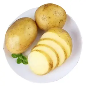西安单位食堂蔬菜配送,给餐厅送菜的公司有哪些