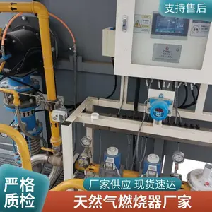 反射炉连续炭化炉天然气烧嘴氢气燃油燃烧器源头厂家岱鼎燃烧