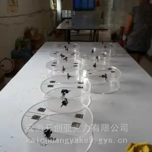 高端人参礼盒展示货架滋补品专柜陈列架精品参茸展示柜