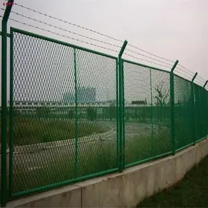 ����������˿�� ���ο׷����� ������������