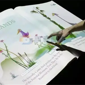 河南郑州电子虚拟翻书/展厅展馆体感翻书/人体触发感应播放