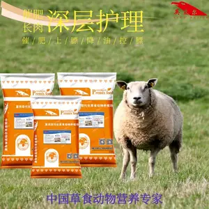 �������������ɱ� �����϶���Ǯһ�� �������������ֳ����