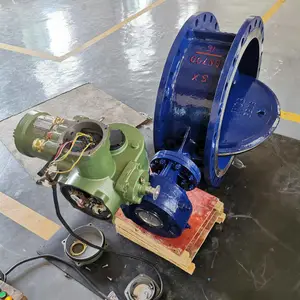 WSD94F-C���õ綯��˹ר�õ��� ��˹�ܵ�ר�ø����͵綯����