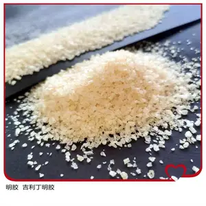 食品明胶 高透明高粘度肉食专用 酱卤明胶