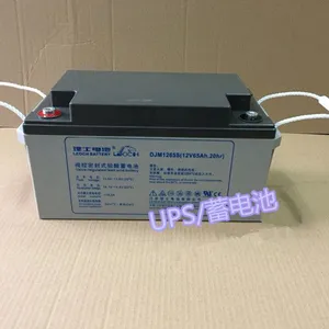 原装理士蓄电池DJM1265/12V65AH厂家