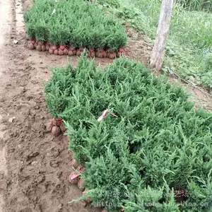 ����԰�� �̻�����30�����̵ذ� ���ذؾ��� �ͺ��ͺ�