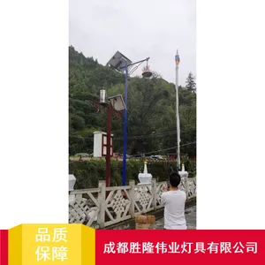 优质藏式路灯_胜隆伟业6m路灯_节能环保路灯厂家
