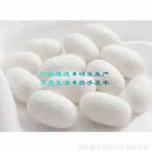 晨丰纺织 生产 蚕蛹蛋白纤维纱线 滑爽如真丝 柔软似羊绒 富含氨基酸