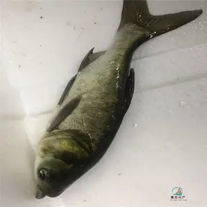 �û�����ͷ���� ����������������������