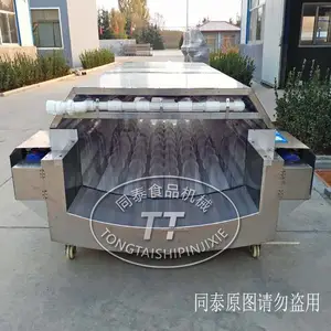 无损伤萝卜清洗机 高低毛辊白萝卜清洗机 连续式白萝卜清洗机
