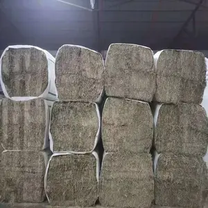 �����ϸ����Ͻ�����ع�˾ �׿��������