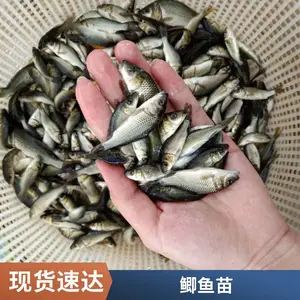 �۷�ˮ�������罨������ ������ǿ����ʡ��Ƭ������ֳ��ѡ����