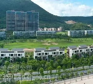 从阳江发货到香港,阳江到香港提供包车服务,阳江到香港运输公司