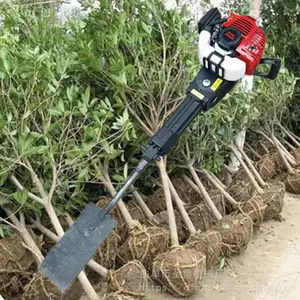 С������ֲ��������Ƶ ��ֲ����ʽ�ϸ��� ӣ��������������Ƶ