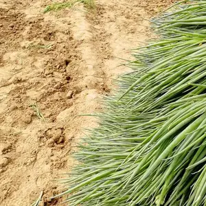 �������ʲôʱ����