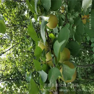 ����Ե ��÷�۸� ����÷�� �绰����
